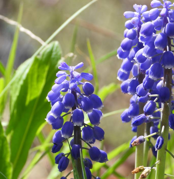 どうかな　反落中