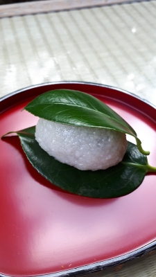 椿餅 - 20190118_2524838.jpg