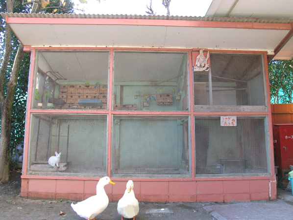 飼育小屋の冬支度 - 20091202_1374042.jpg