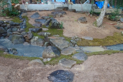 飛び石と延段 | 新樹造園｜誠意と創意の庭｜富山県南砺市