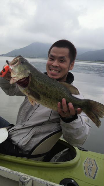 ブラックバスって、本当に可愛いですよね！ | Brightliver Tackle.co