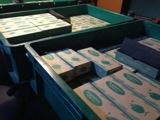 ヒップツイストミノー、出来上がりました。 | Brightliver Tackle.co