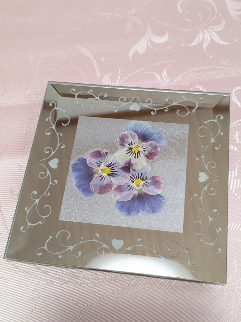 押し花ミラー️ビオラ ビオラ ダスティミラーのおすすめ商品と