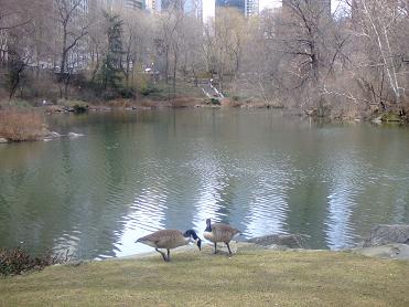 central park3/31