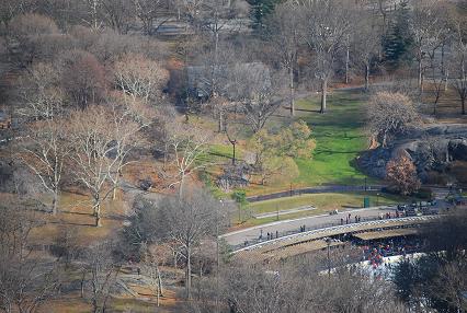 central park1/12