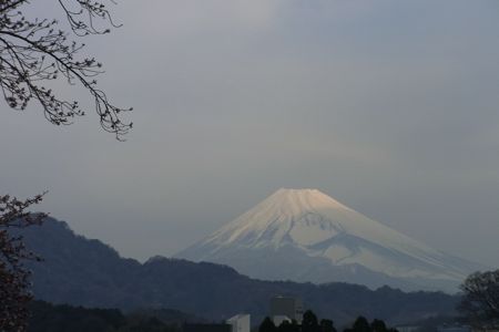 fuji