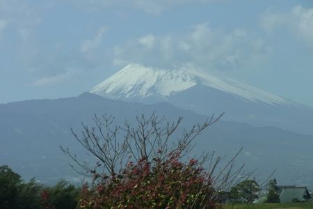 fuji