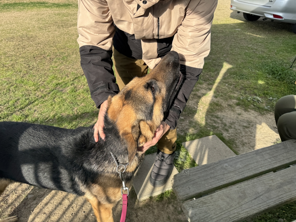 2025年12月27日の記事 | 紀ノ川警察犬・愛犬訓練所