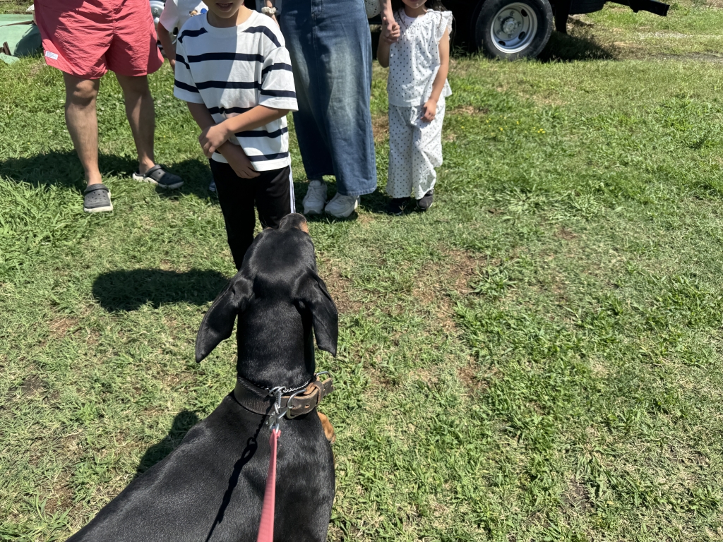 ベルちゃんの面会日(*´▽｀*) | 紀ノ川警察犬・愛犬訓練所